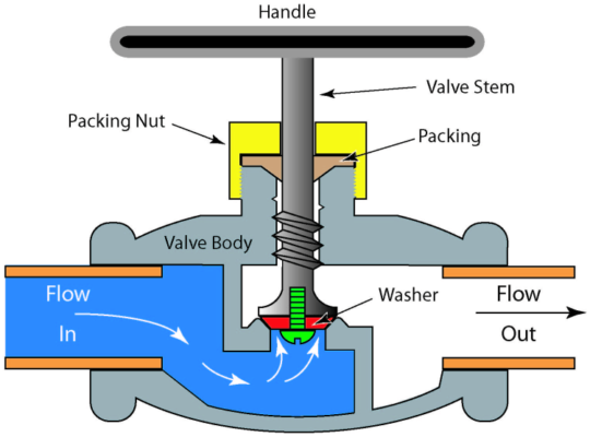 Globe Valve